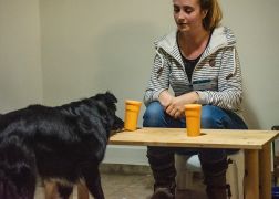 LNDW 2019 In Jena 221119 0039